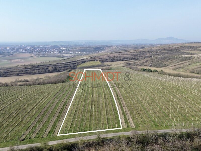 Prodej sadu, vinice 11748 m²