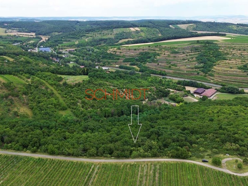 Prodej sadu v Němčičkách u Hustopečí