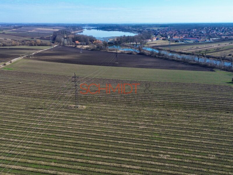 Prodej sadu, vinice 11641 m²